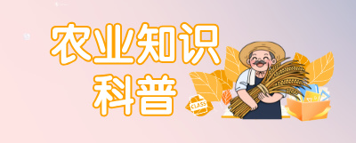 图片-芜湖乐畜社农业科技有限公司