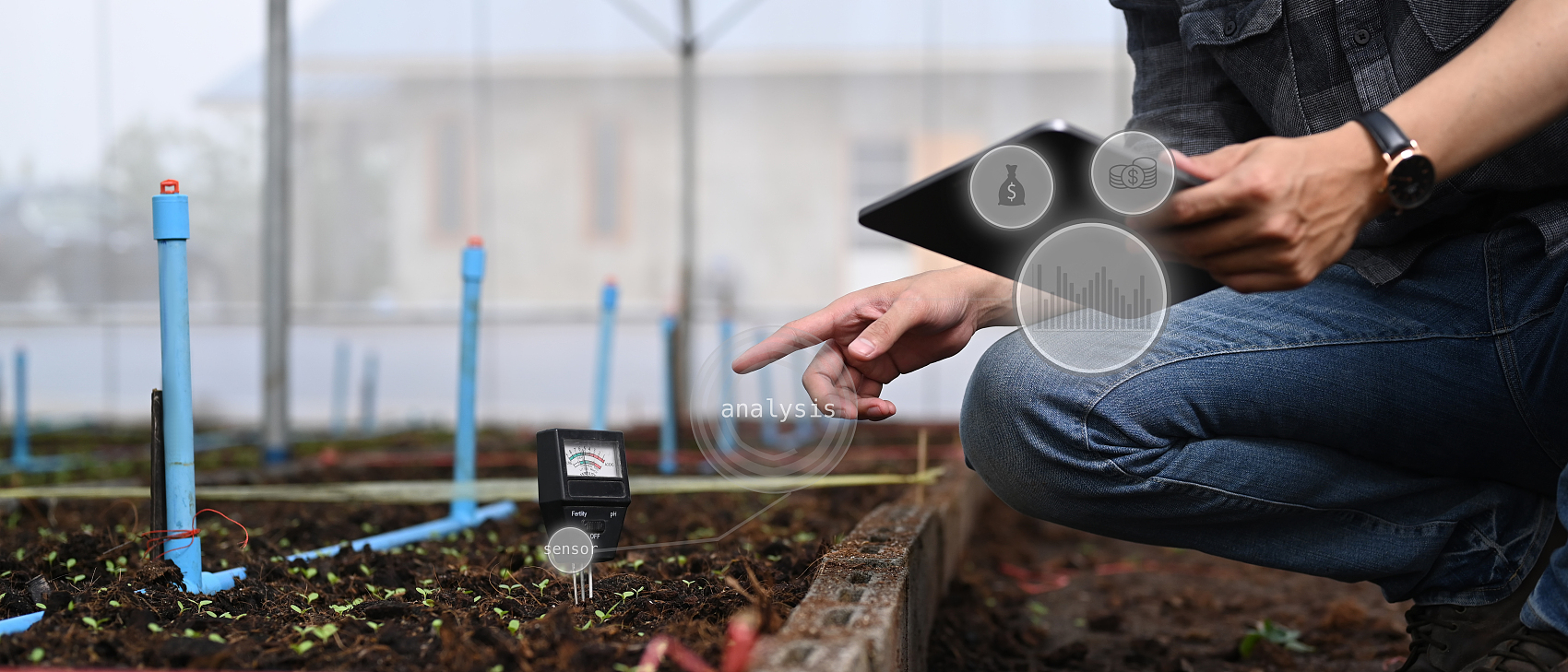 生物基发酵技术在养殖业的应用前景【疾病防控】-芜湖乐畜社农业科技有限公司