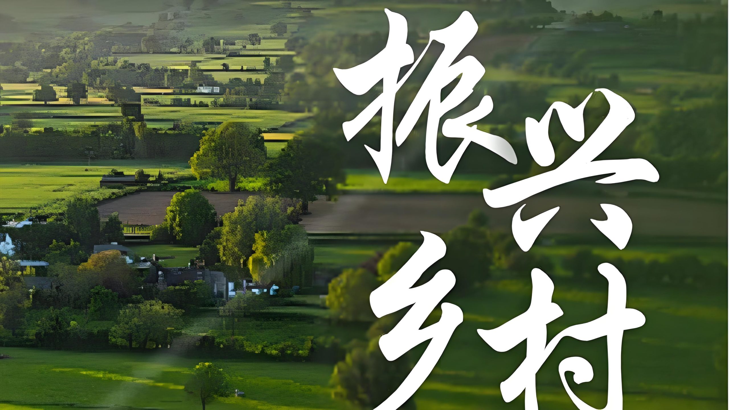 创新发展模式 开辟增收渠道【三农产品电商】-芜湖乐畜社农业科技有限公司